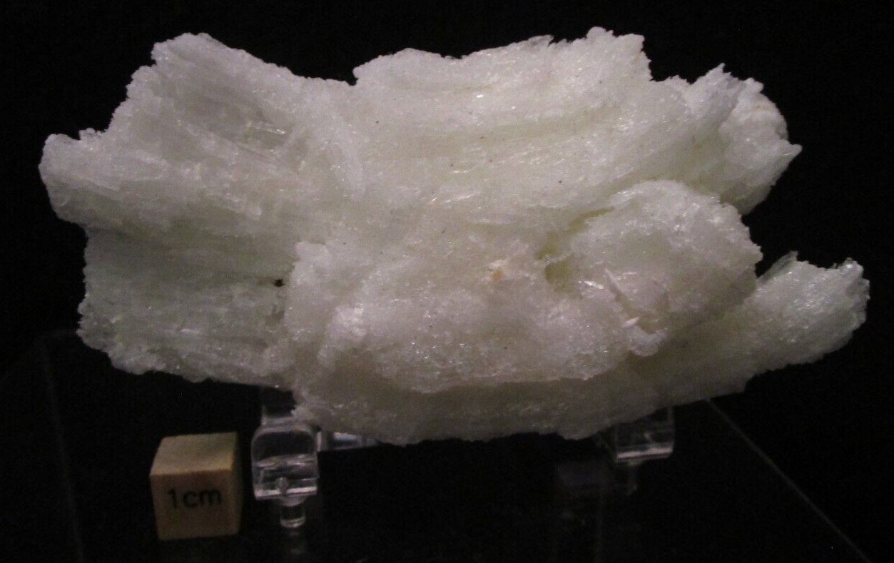 Fluorescent Starry Night Selenite Gypsum Novacekite Inclusions Chihuahua Mexico