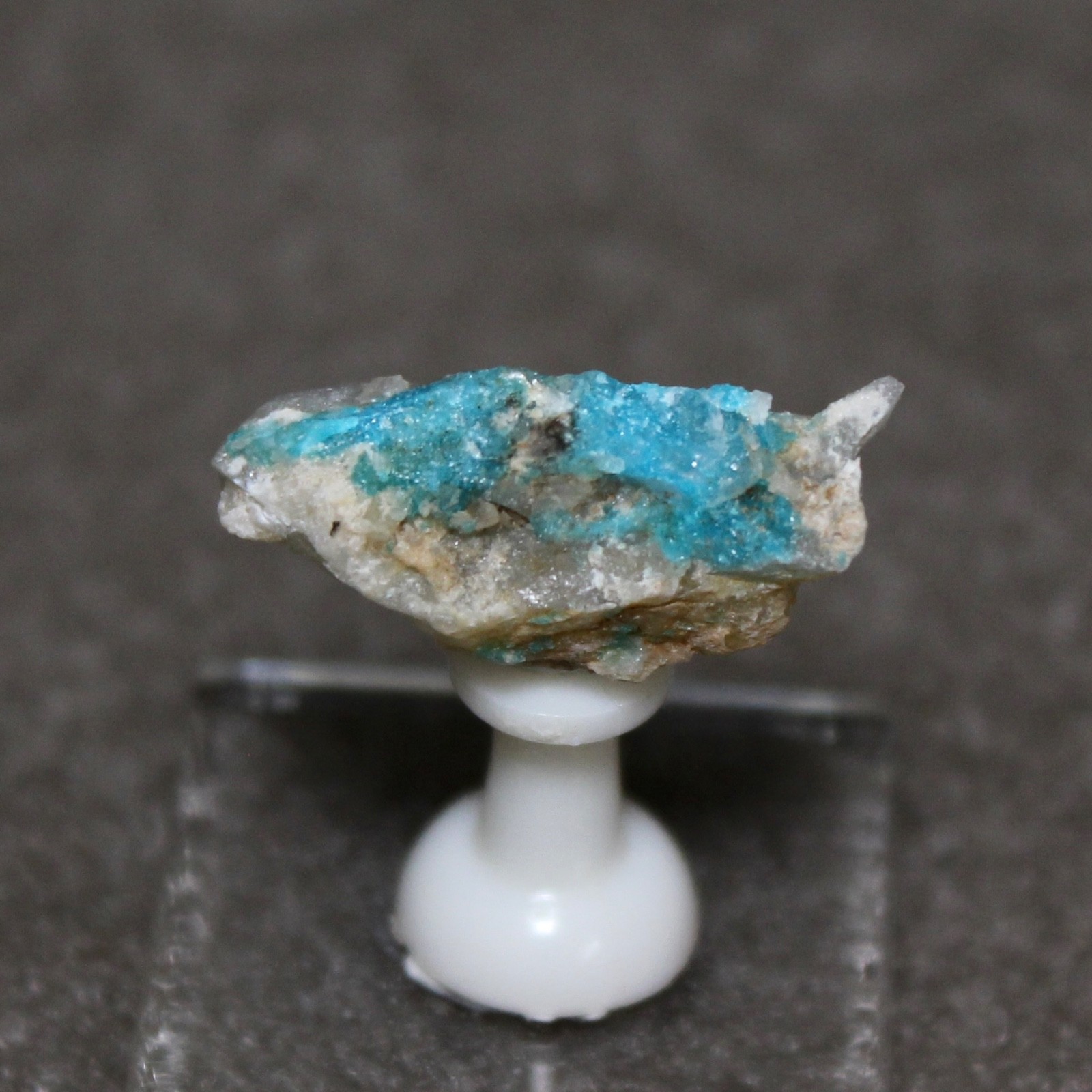 TURQUOISE on quartz. Bishop Mine, Lynch Station, Virginia. #5218