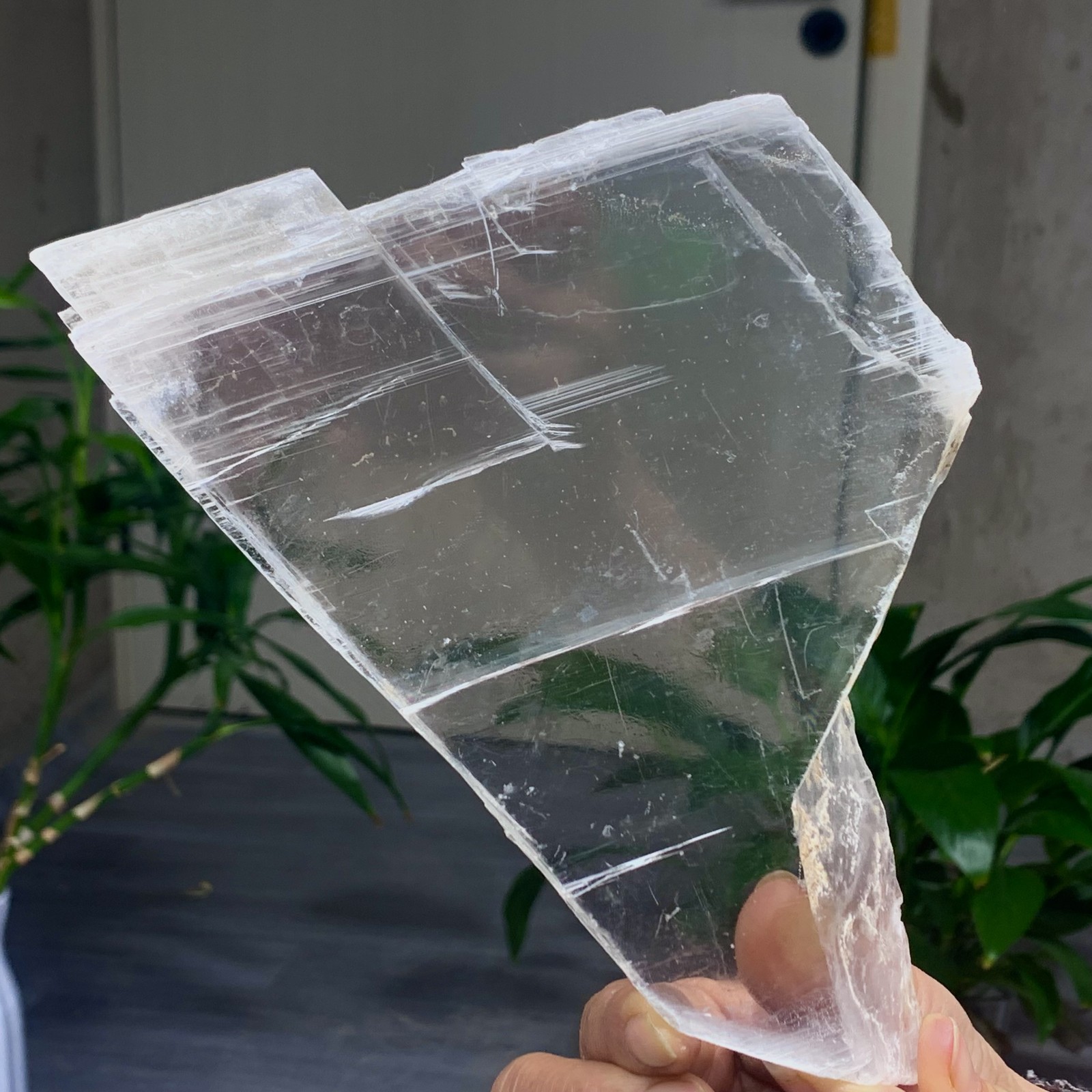 494G Natural selenite gypsum quartz crystal slab mineral specimen healin