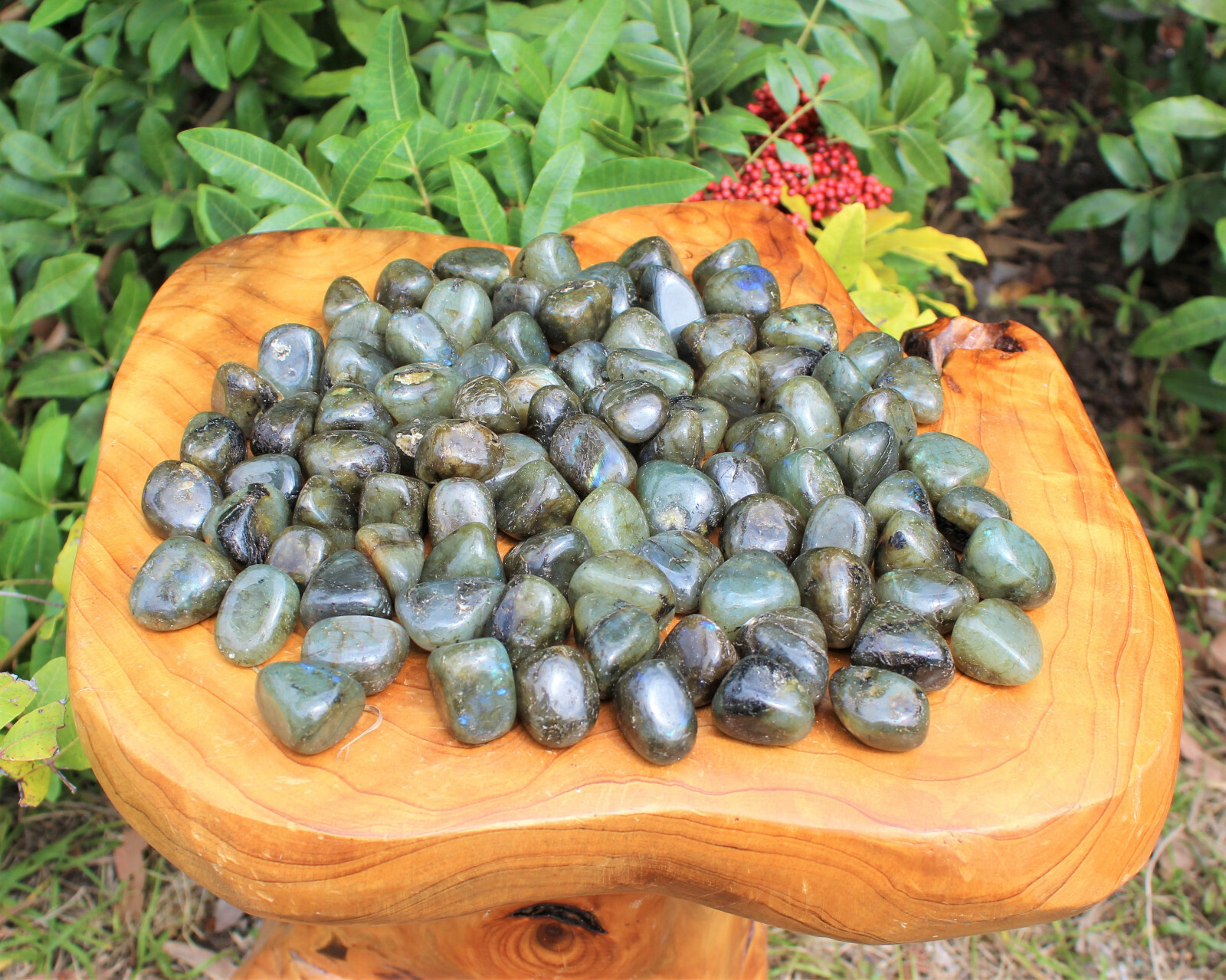 1 lb Labradorite Tumbled Stones, Bulk Lot (Crystal Healing Reiki Gemstone)