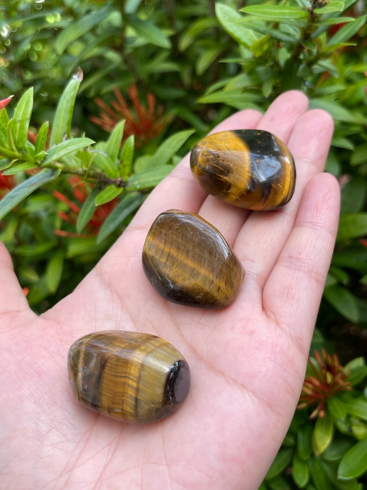 Grade A++ Gold Tiger Eye Tumbled Stones, 0.85″-1.5″ Tumbled Tiger Eye, Bulk Lot