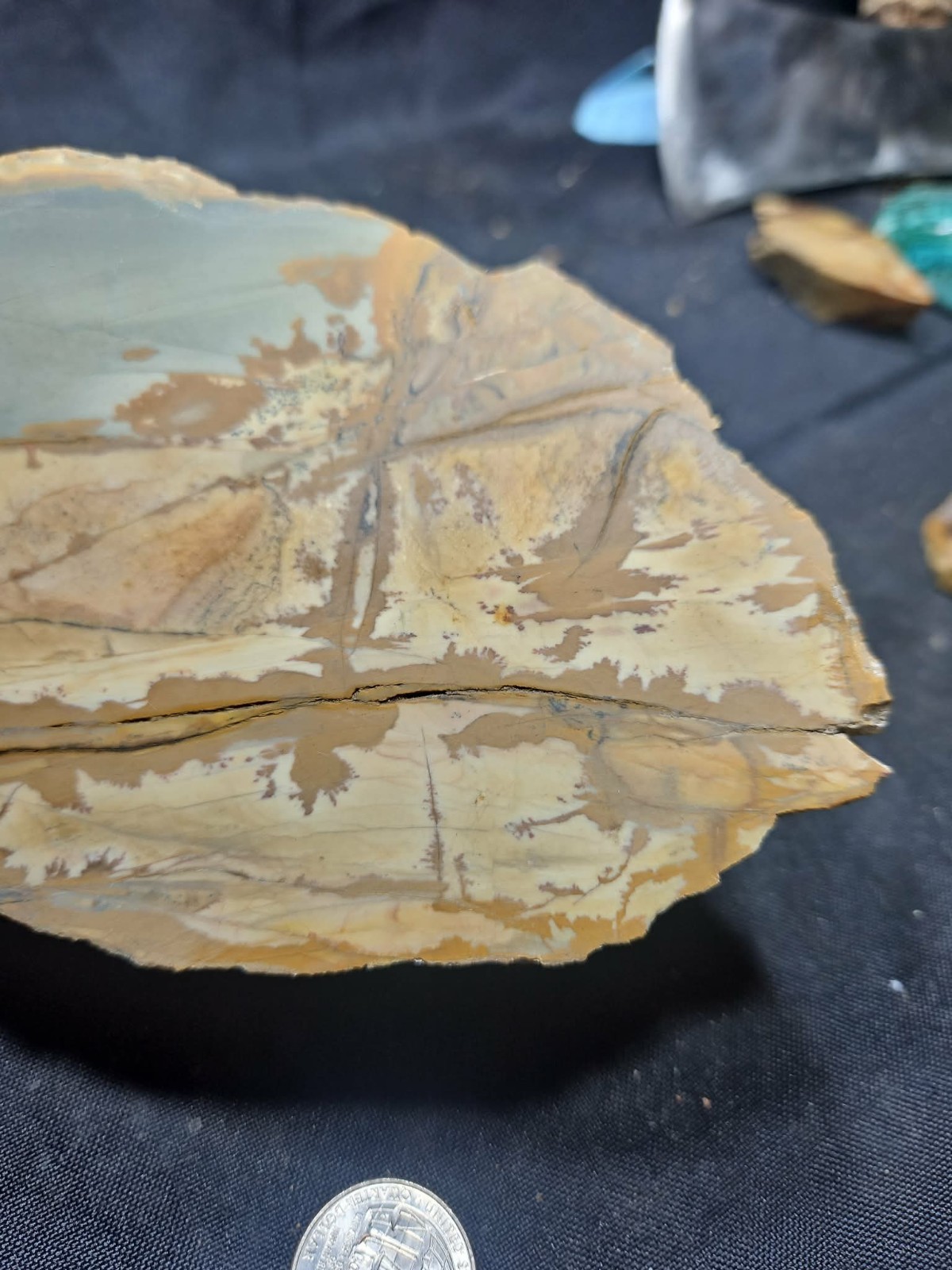 Oregon Picture Jasper Specimen (3lbs 4oz) Measures 8 in x 4 in x 3 in