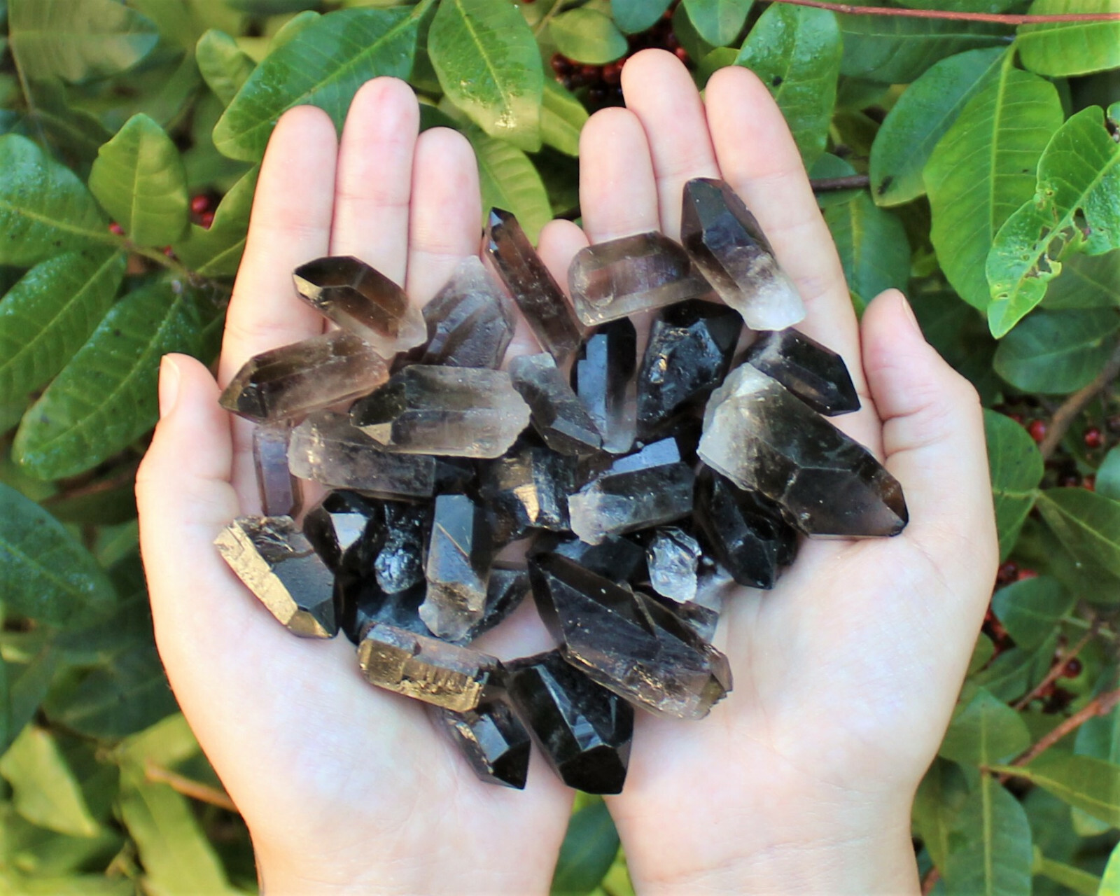 1/2 lb (8 oz) Smoky Quartz Crystal Points, Box Lot (0.75″ – 2″, Smokey Quartz)