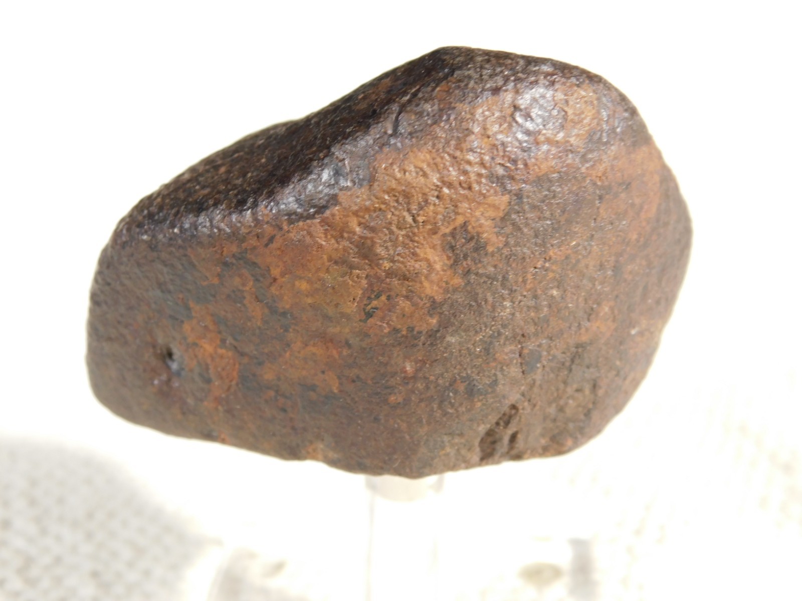 Nice! and 100% Natural Stony METEORITE FELL in Libya 181gr