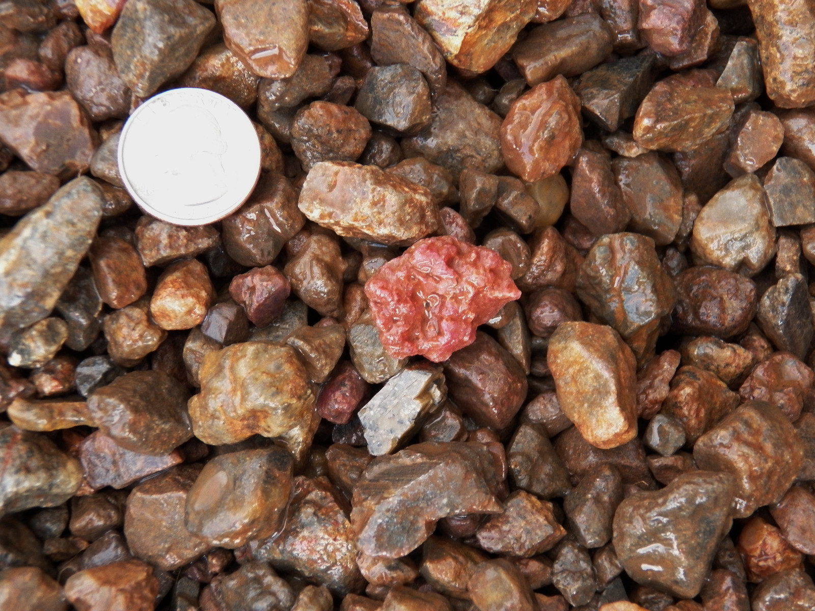 500 Carat Lots of Ruby Rough – Plus a FREE Faceted Gemstone