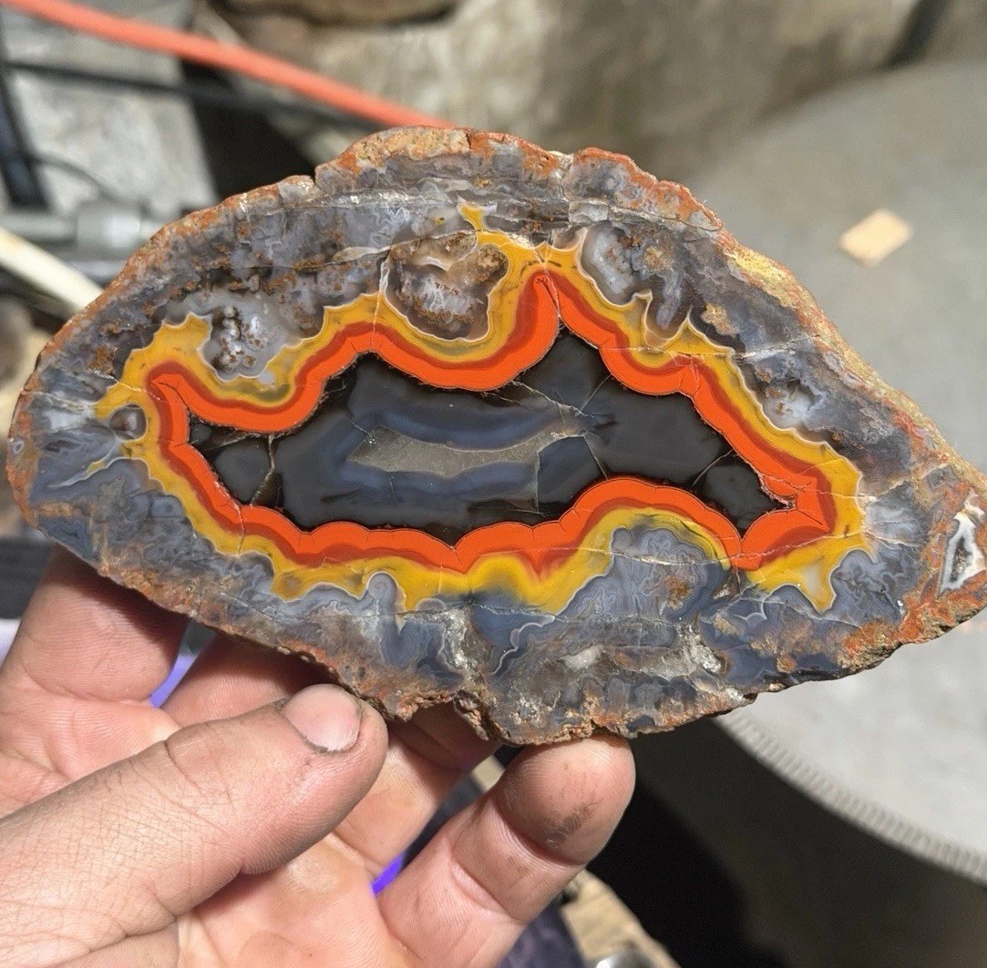 Top Shelf, Imperial Kentucky Agate | Best Red Yellow Black Specimen Online Estil