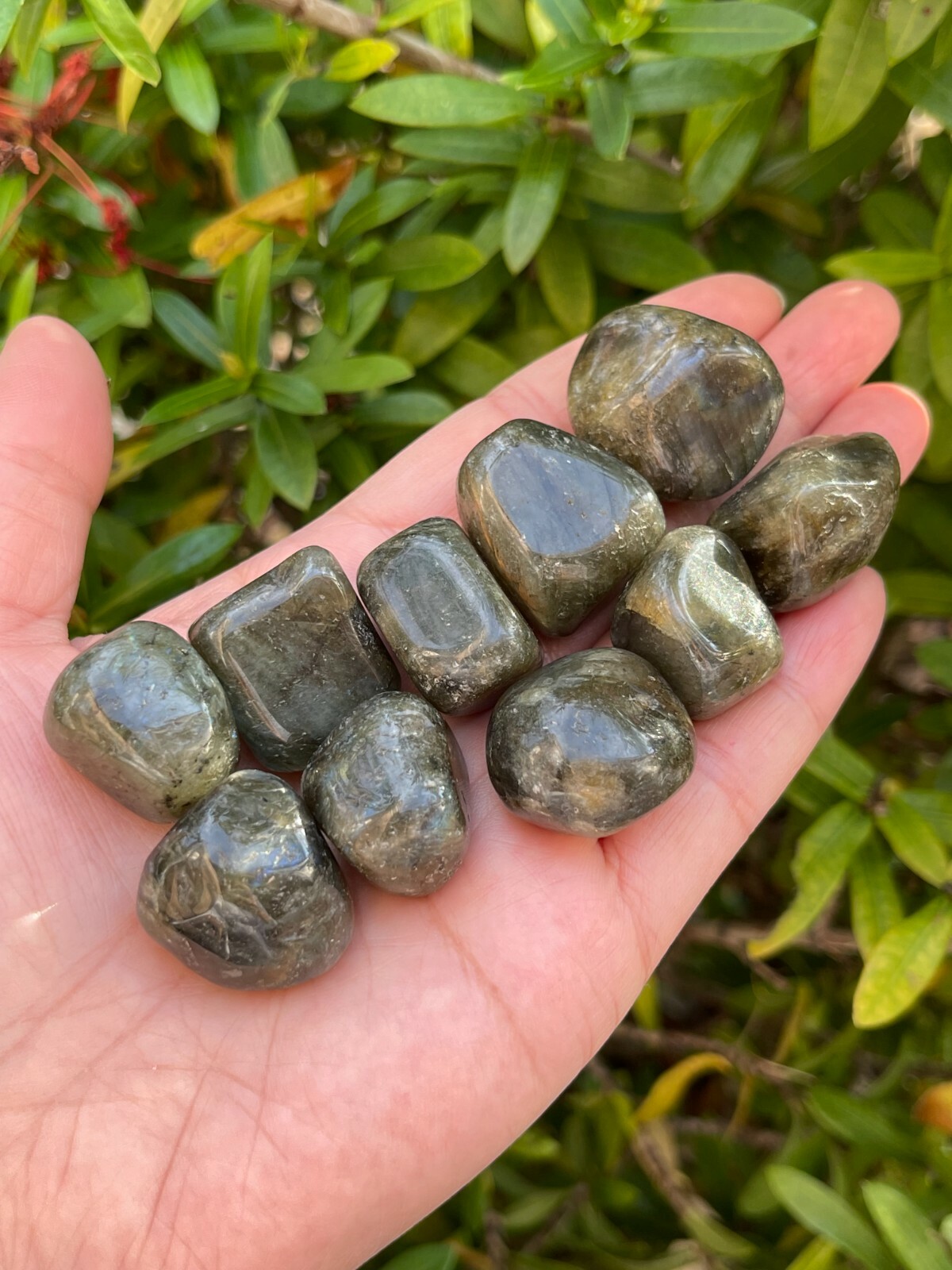 Labradorite Tumbled Stones, 0.75-1 Inch Tumbled Labradorite Stones,Wholesale Lot