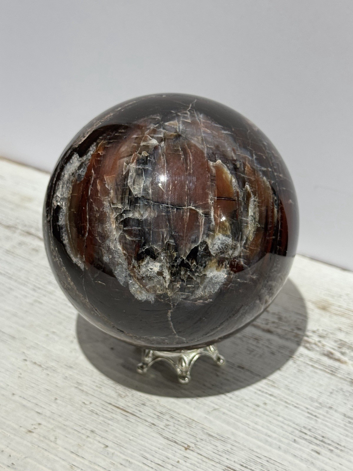 Petrified Wood Sphere 3.75” Natural Stone Carving