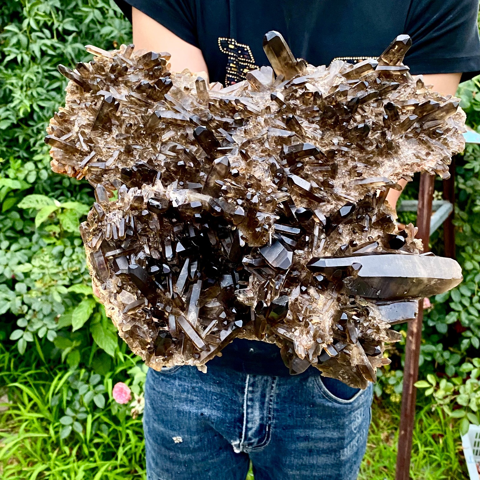 10.8LB Natural Tea black Crystal quartz Cluster Mineral Specimen Healing reiki