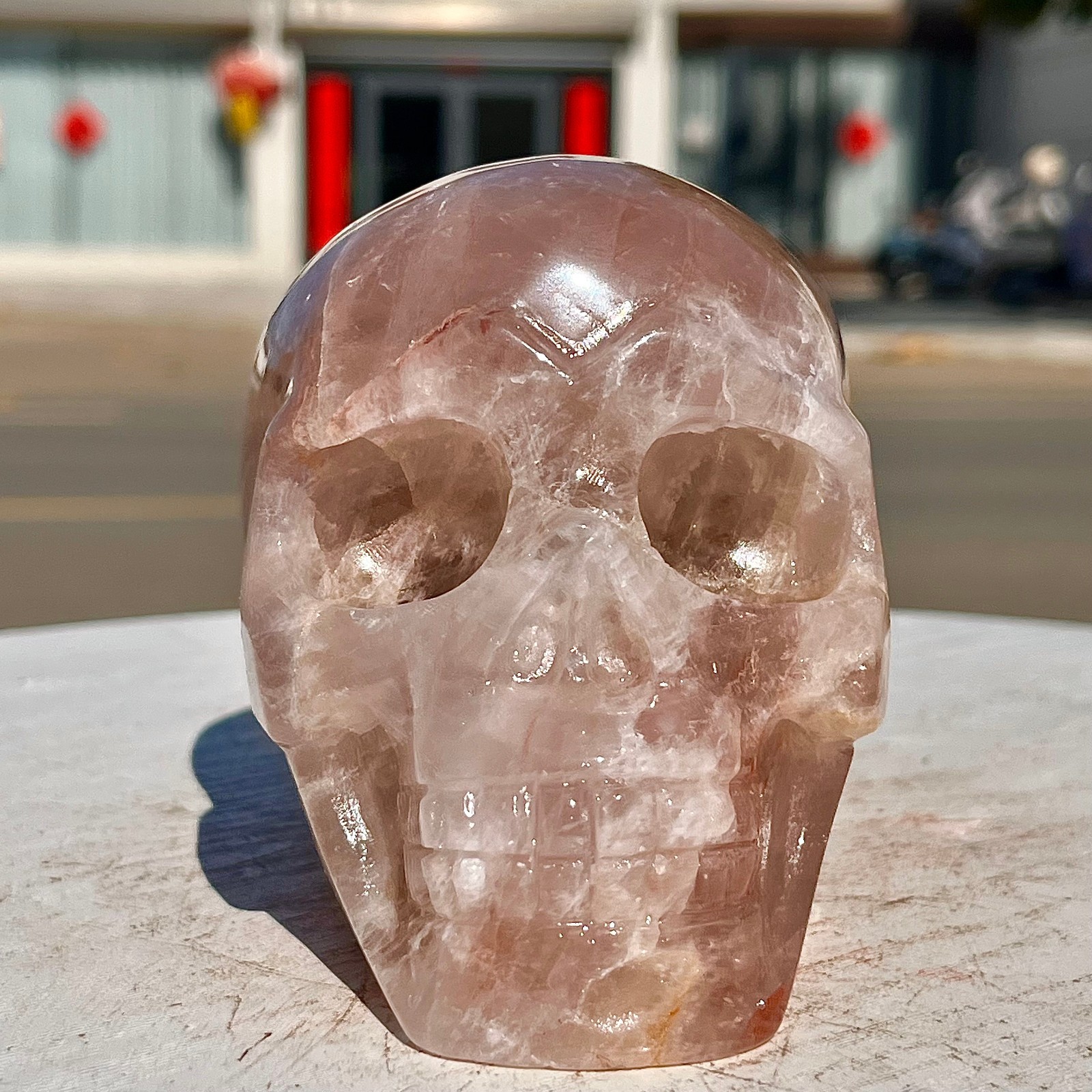 2.71LB Red Gum Flower Skull Carving | Handmade Carving | Healing Energy