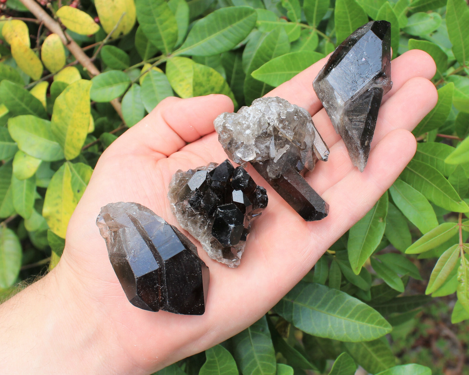 Smoky Quartz Crystal Clusters – Bulk Wholesale ‘A’ Grade High Quality Crystals