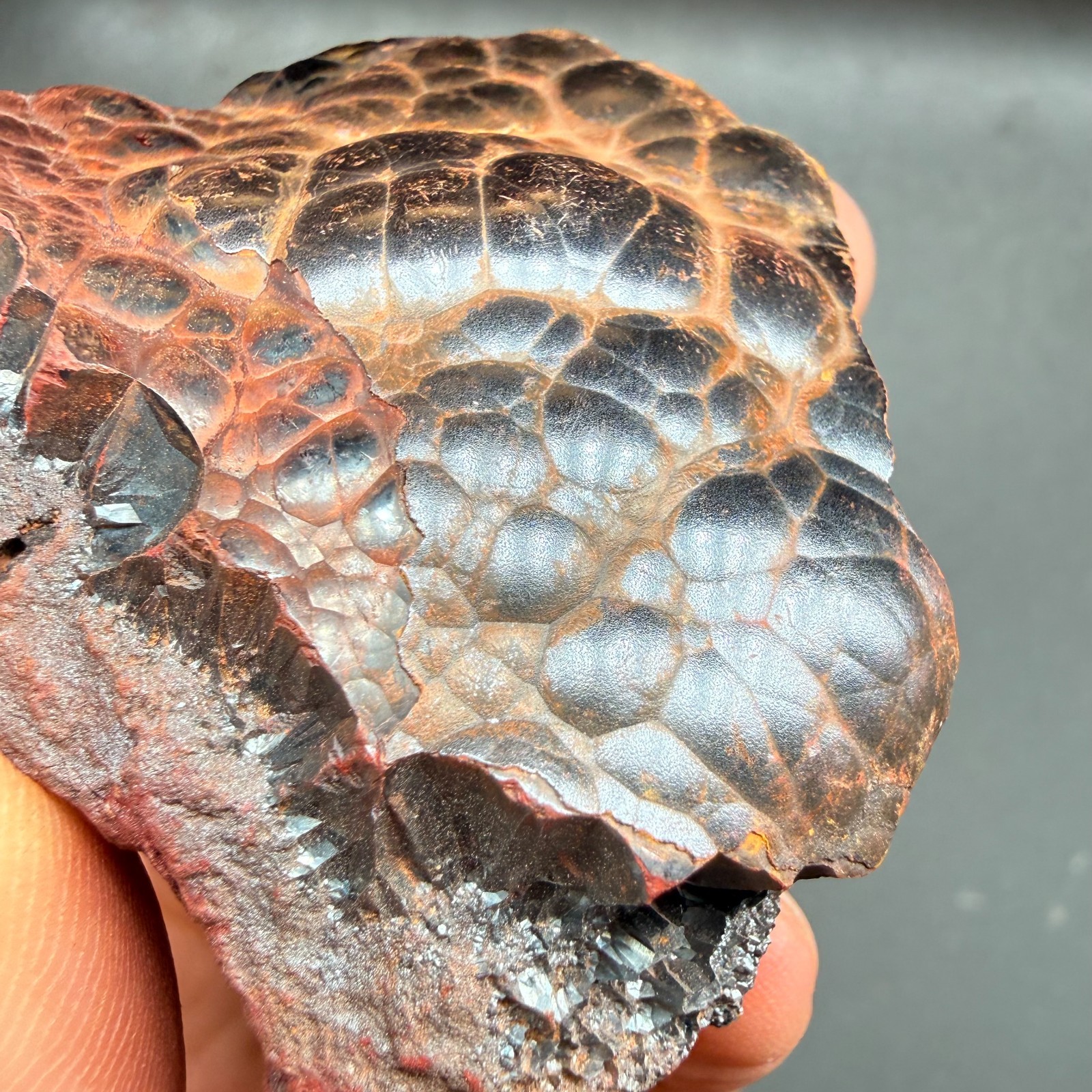 Botryoidal Hematite Specimen from Morocco 185g – Natural Iron Rose Formation