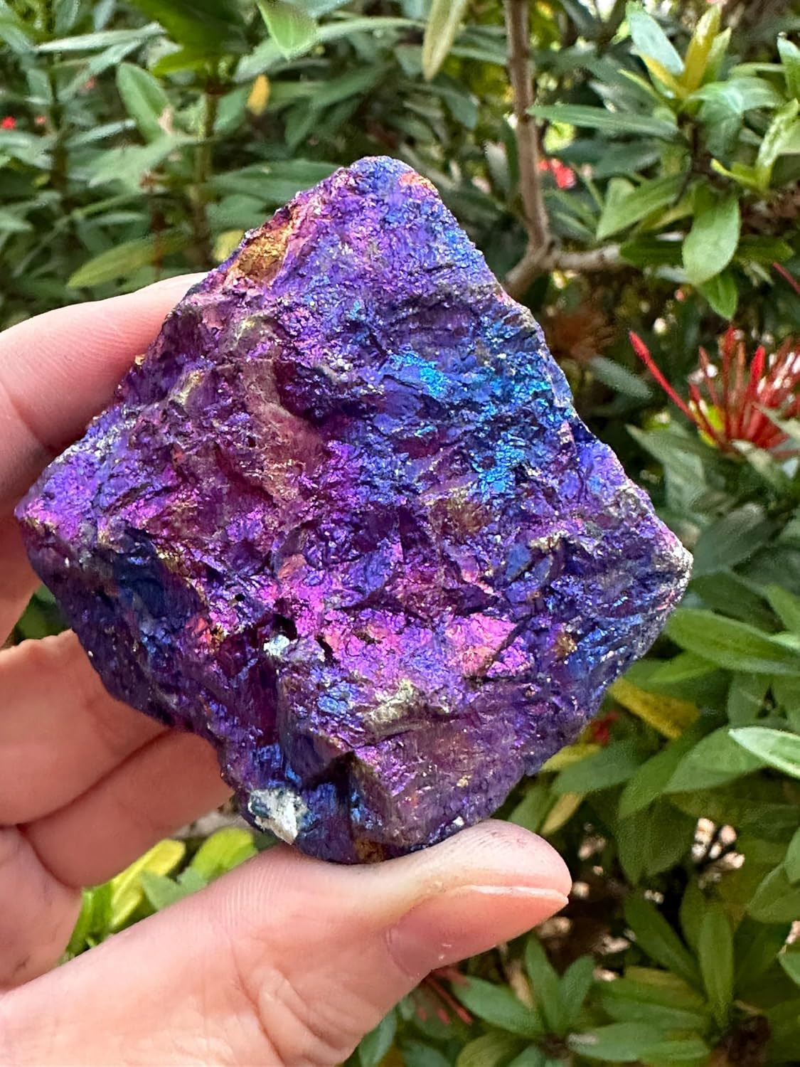 Large Raw Chalcopyrite 2-2.5″, Rough Peacock Ore Stone, Chalcopyrite Peacock Ore