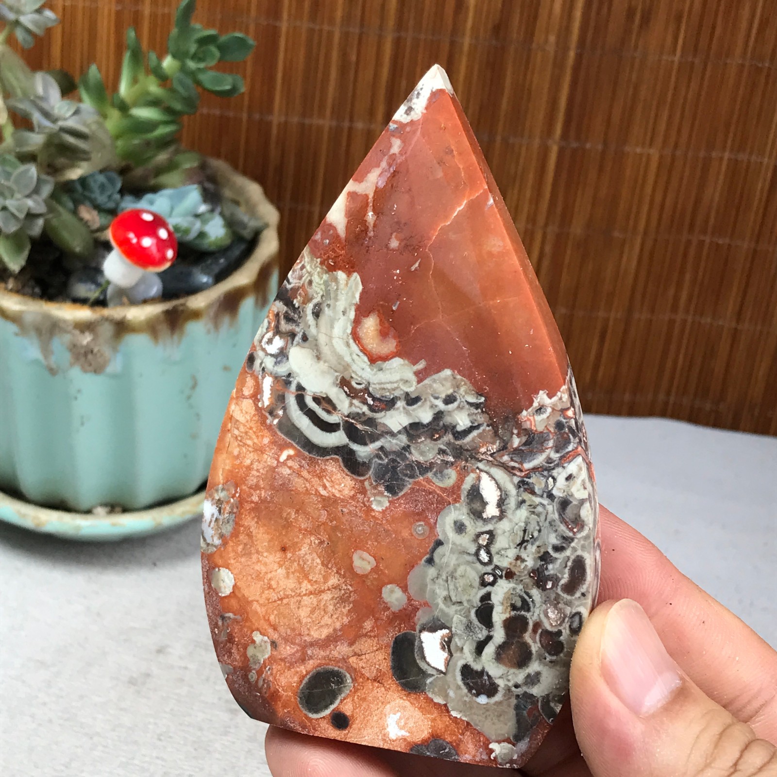 Natural money Mexico agate hand carve leaf Crystal Specimen free standing A6261