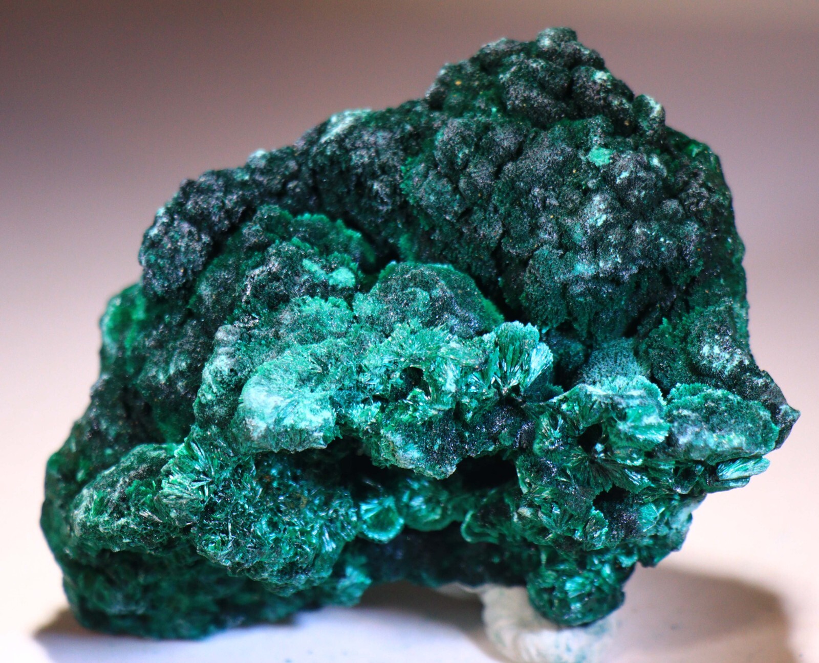 3.75″ 9.4 oz Stunning Fibrous Malachite Cave/Cluster, Congo! M547