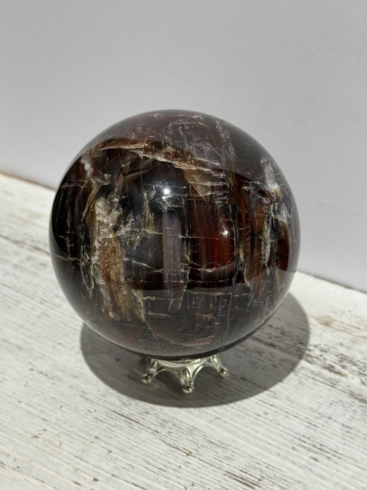 Petrified Wood Sphere 3.75” Natural Stone Carving