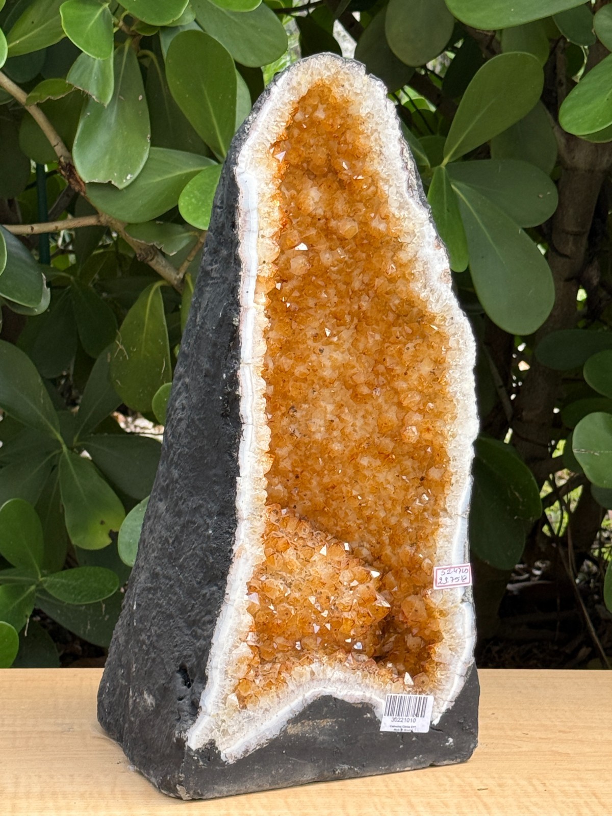 X-Large Citrine Cathedral, Citrine Geode, Honey Citrine Cluster, Pick a Weight