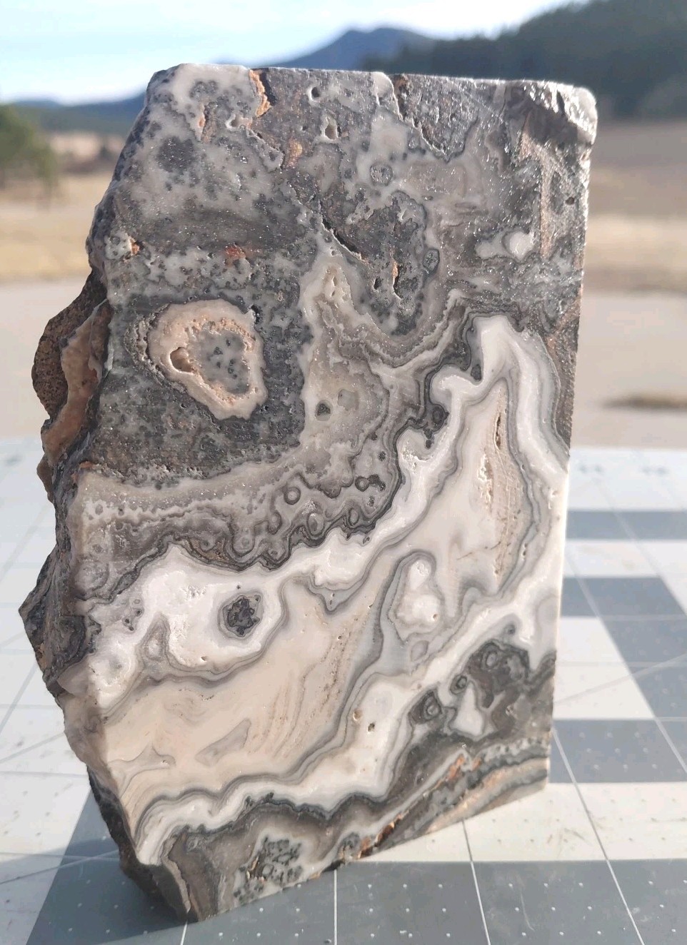 Zebra Calcite Crystal Reiki 1 1/4 Lb Sculpture Dendritic Lace 5 1/4″ X 3 1/4″