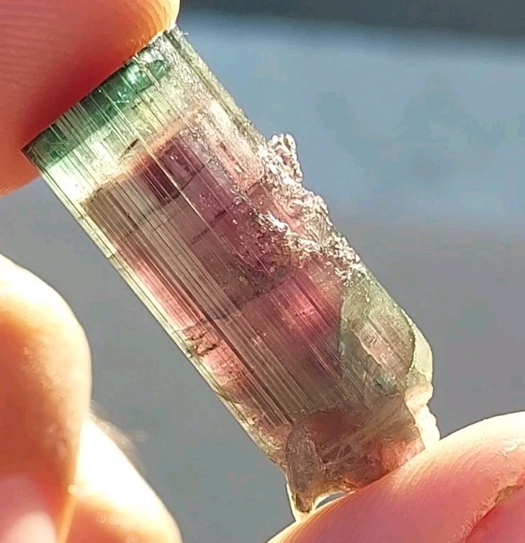 ULTRA RARE BURKHARD’S POCKET TOURMALINE NO REPAIRS PEDERNEIRA MINE BRAZIL