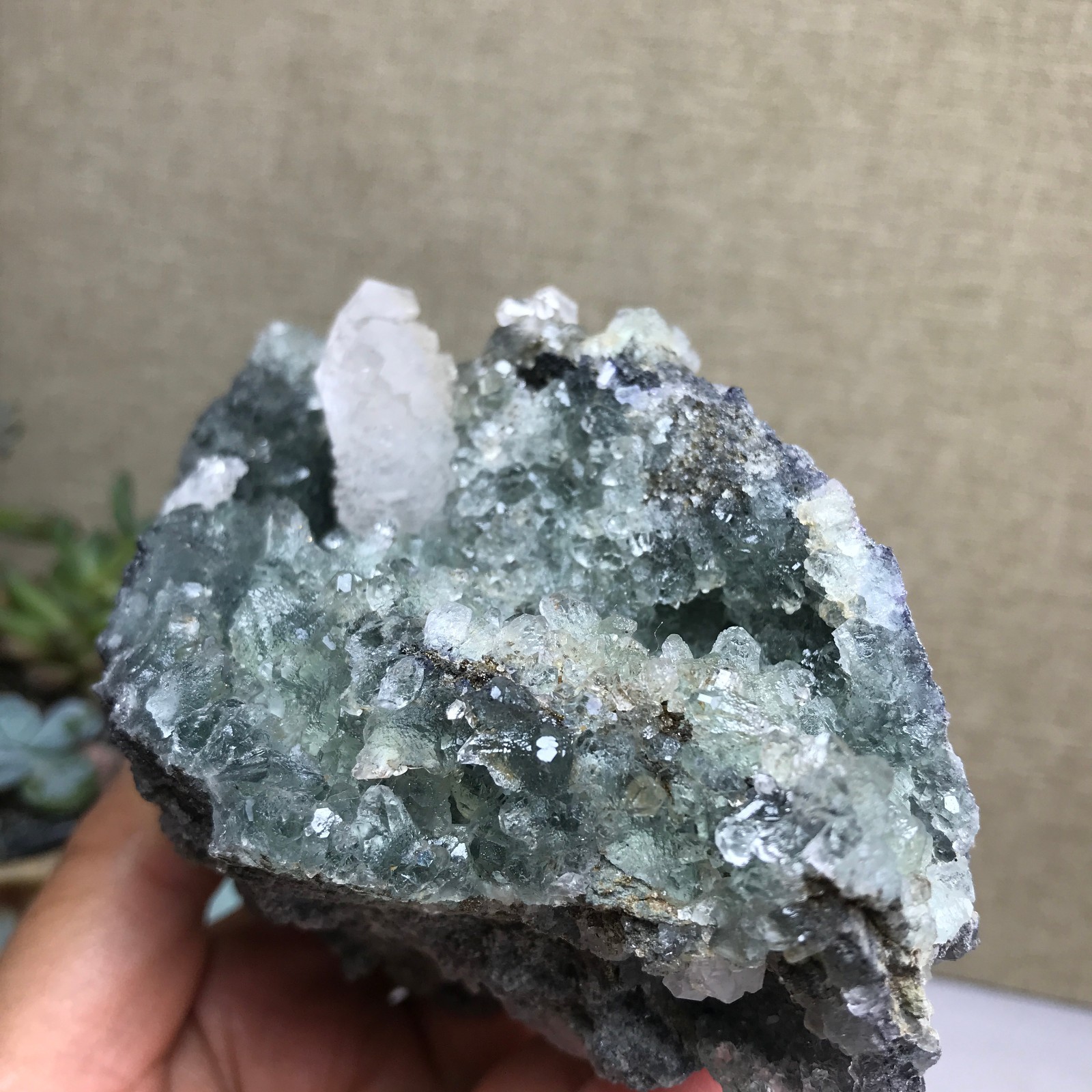 476g NATURAL Green Cubic FLUORITE paragenesis Crystal Cluster Specimen A4780