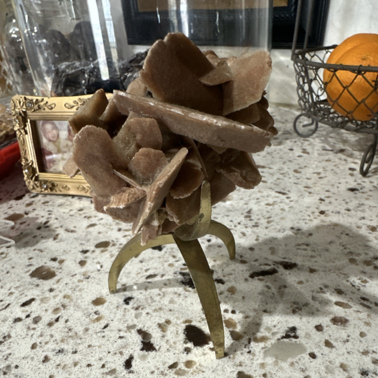 Desert Rose Selenite Gypsum Mineral Specimen on Display Stand