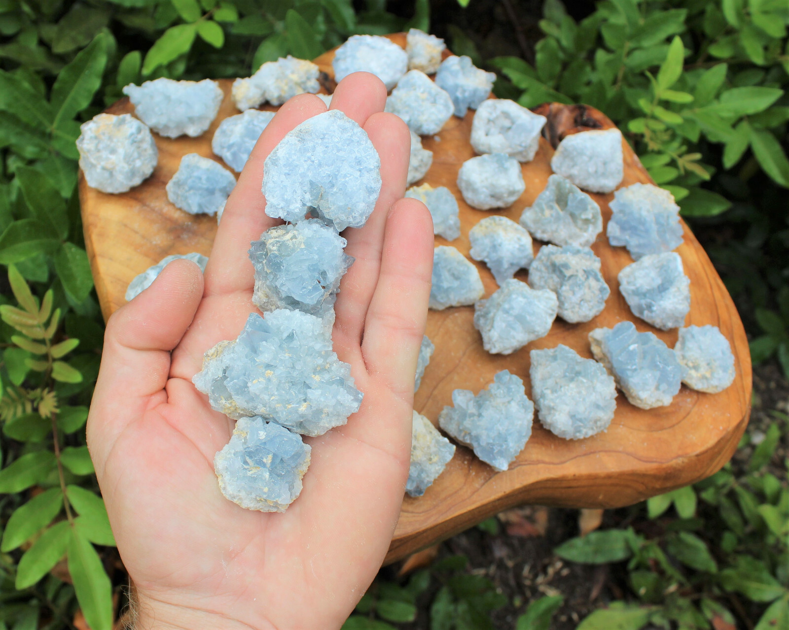 Mini Celestite Crystal Cluster Bulk Wholesale Lots (Sky Blue Celestite Druze)