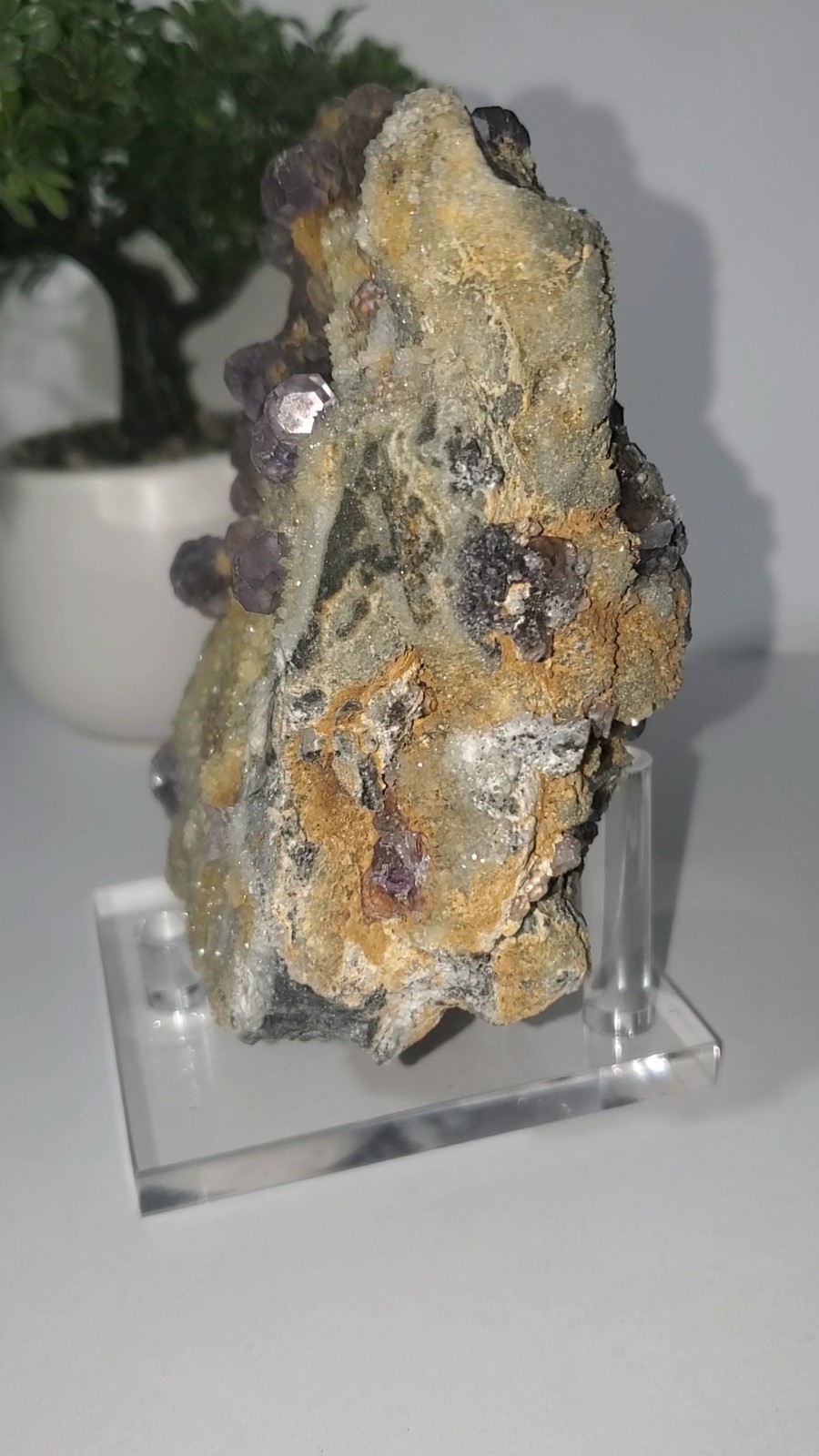 Tanzanite Fluorite On tan-colored quartz-rich matrix Statement PEACE 1KG 210G