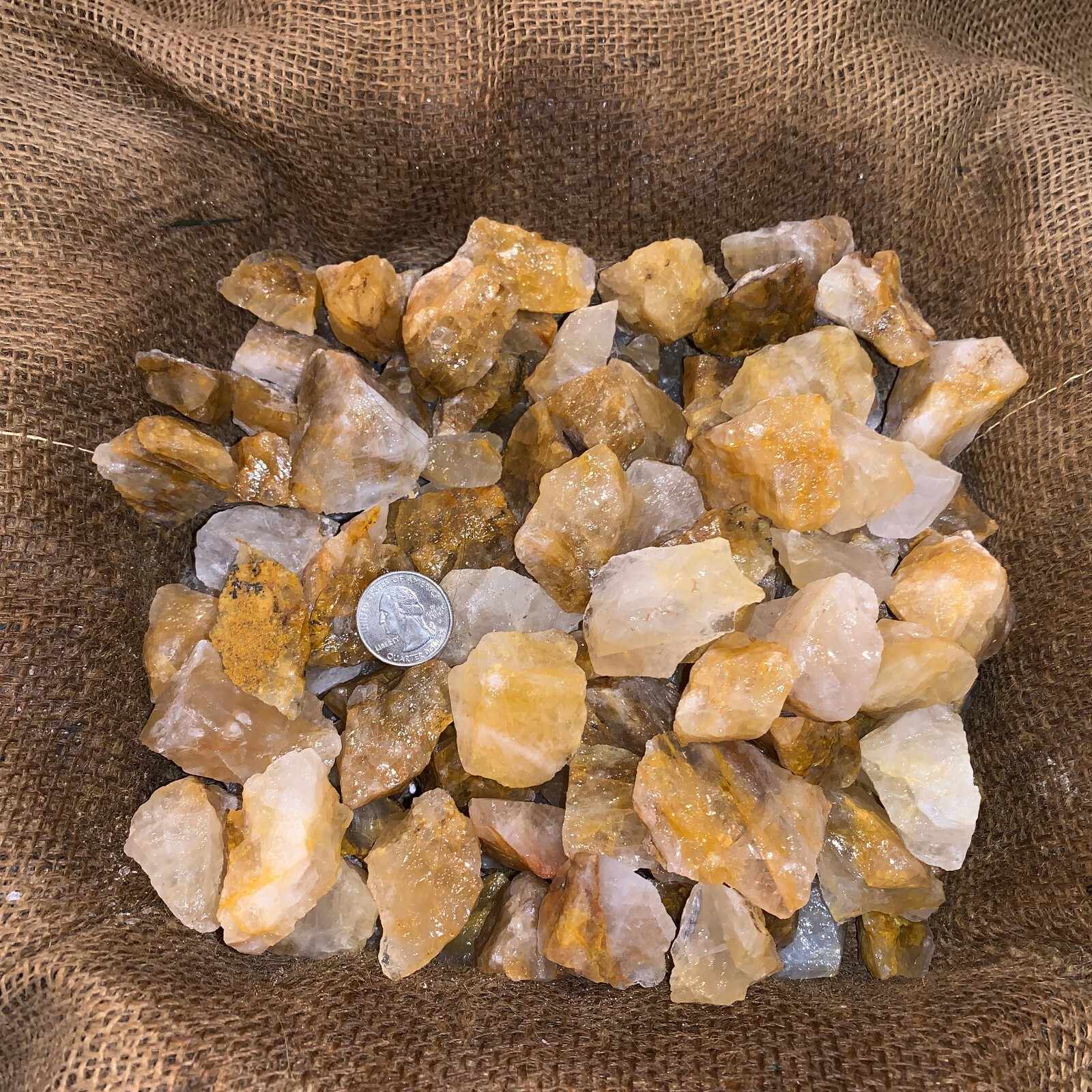 1000 Carat Lots of Citrine Rough Plus a FREE Faceted Gemstone!