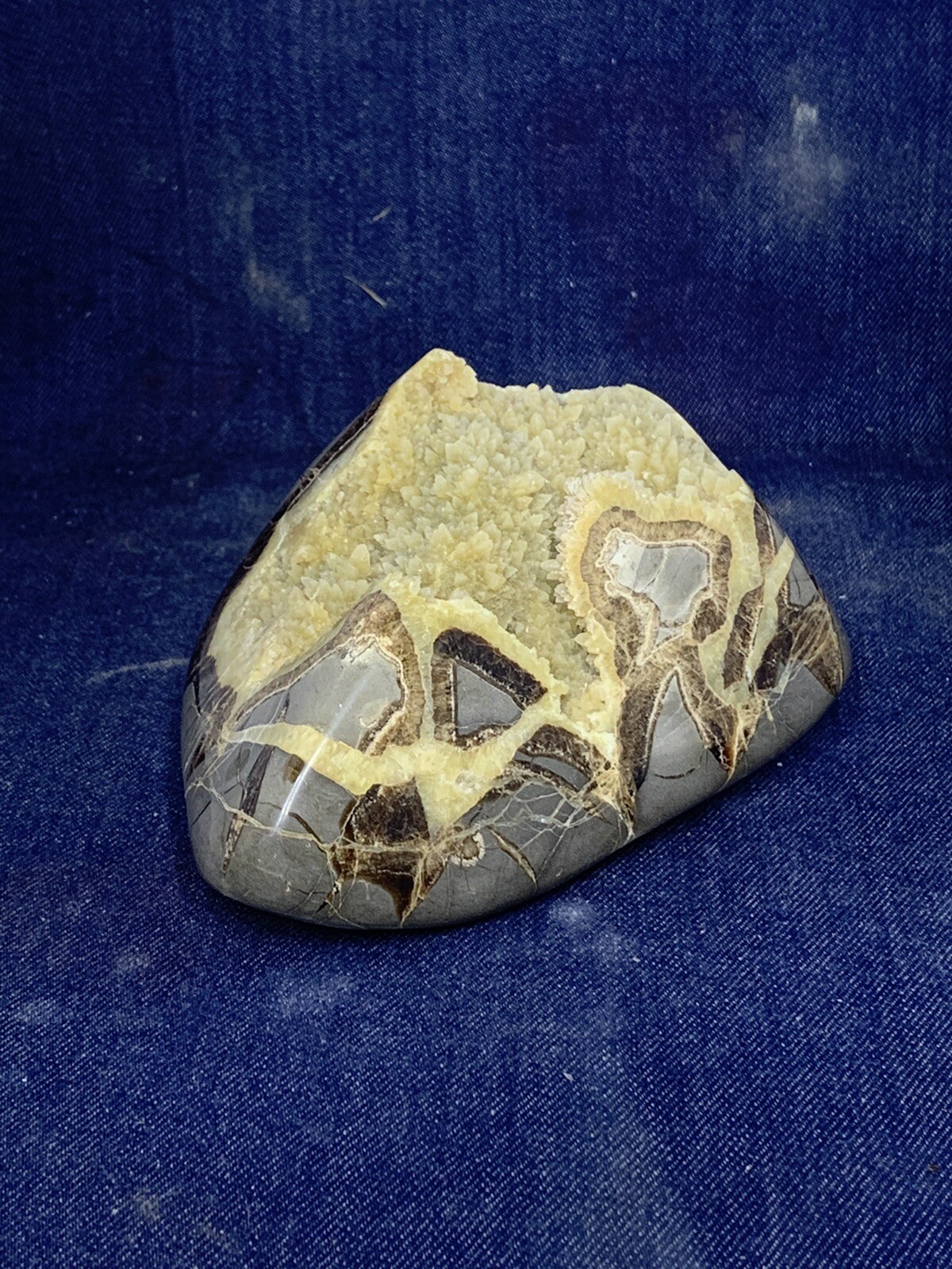 Septarian Nodule Freeform ( Utah)with Description Card