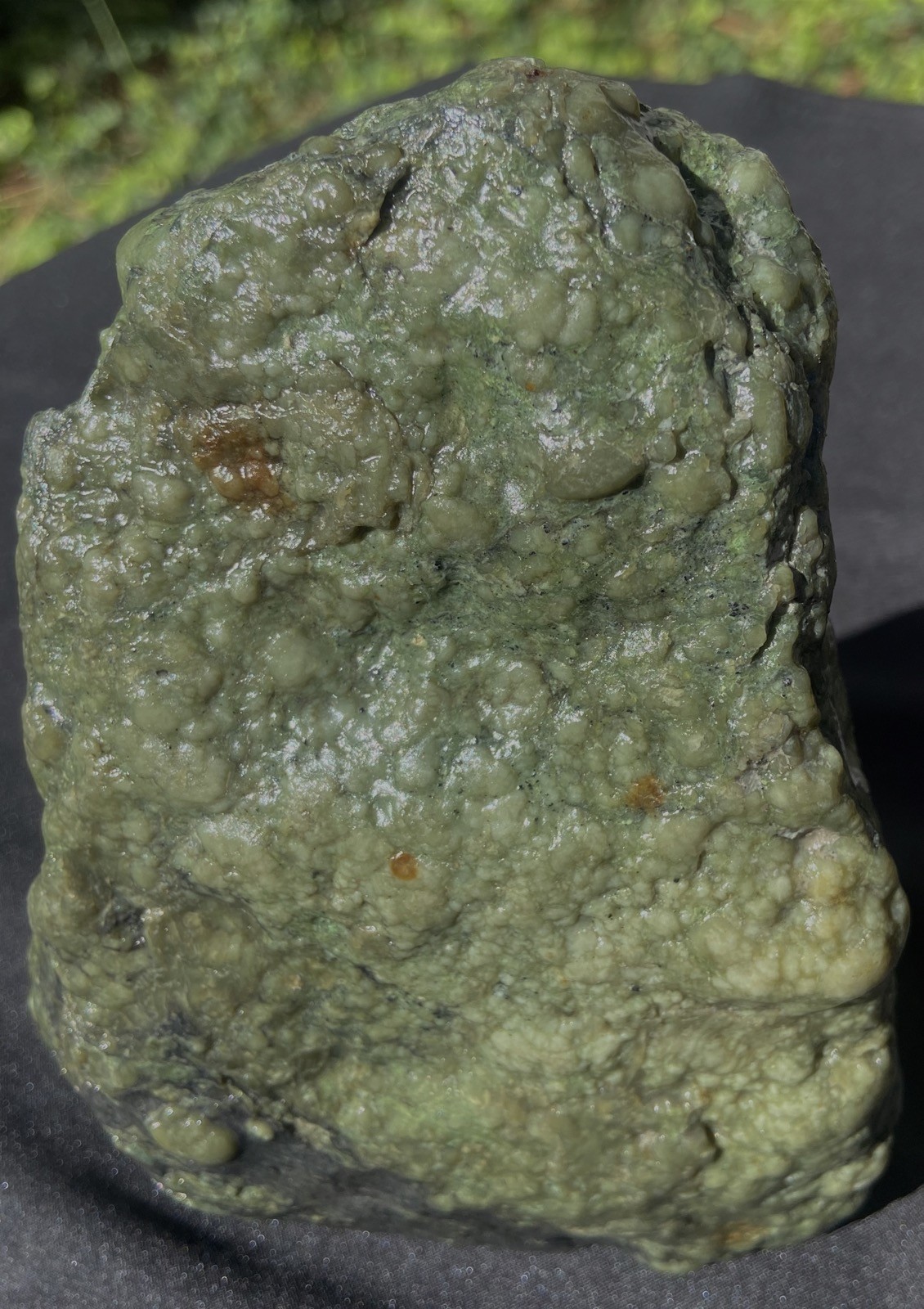 EEL RIVER BOTRYOIDAL JADE LARGE FREE STANDING SPECIMEN 1.39 KG’S or 3.1 LBS