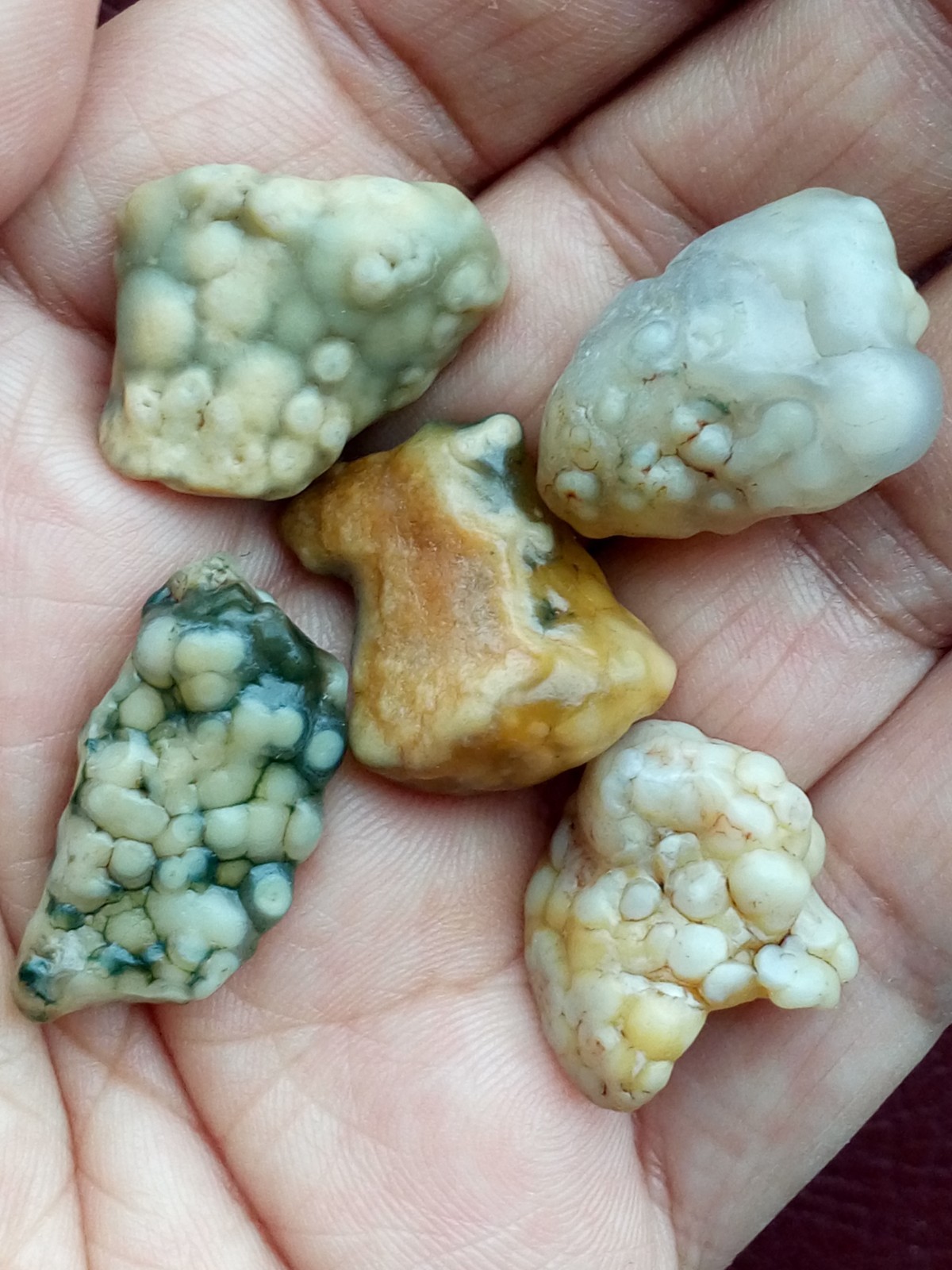 5 pieces Beautiful Natural GoBi agate collection