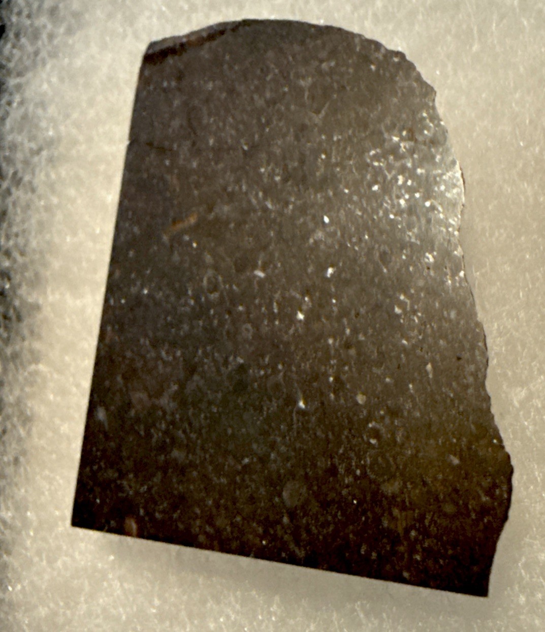 12.5 g Chondrite Meteorite Slice, Africa