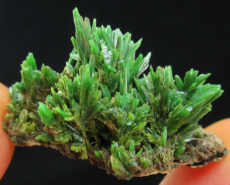 6.9g green pyromorphite crystals minerals specimens from China!~~