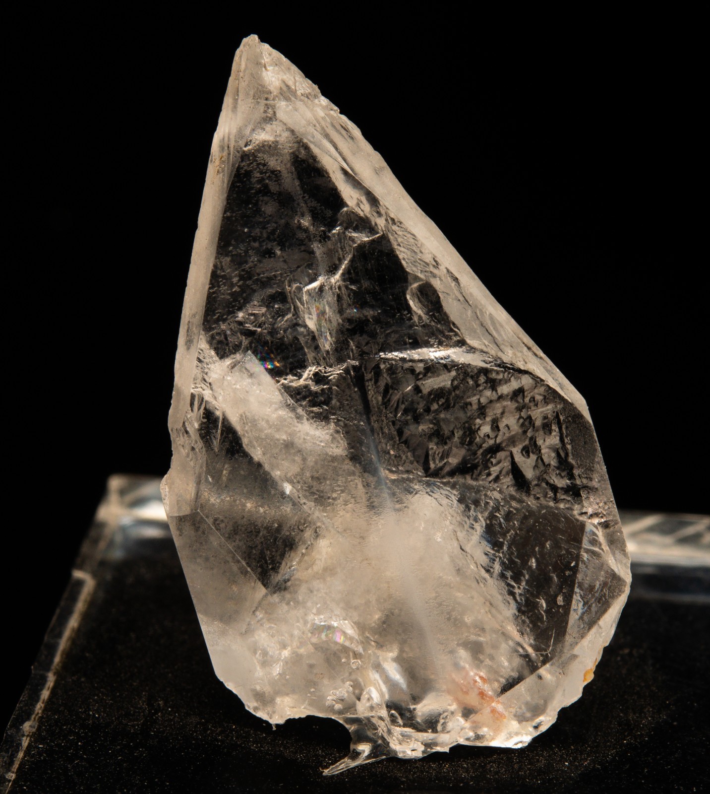 Whewellite Bohemia, Czech Republic 1906-N298