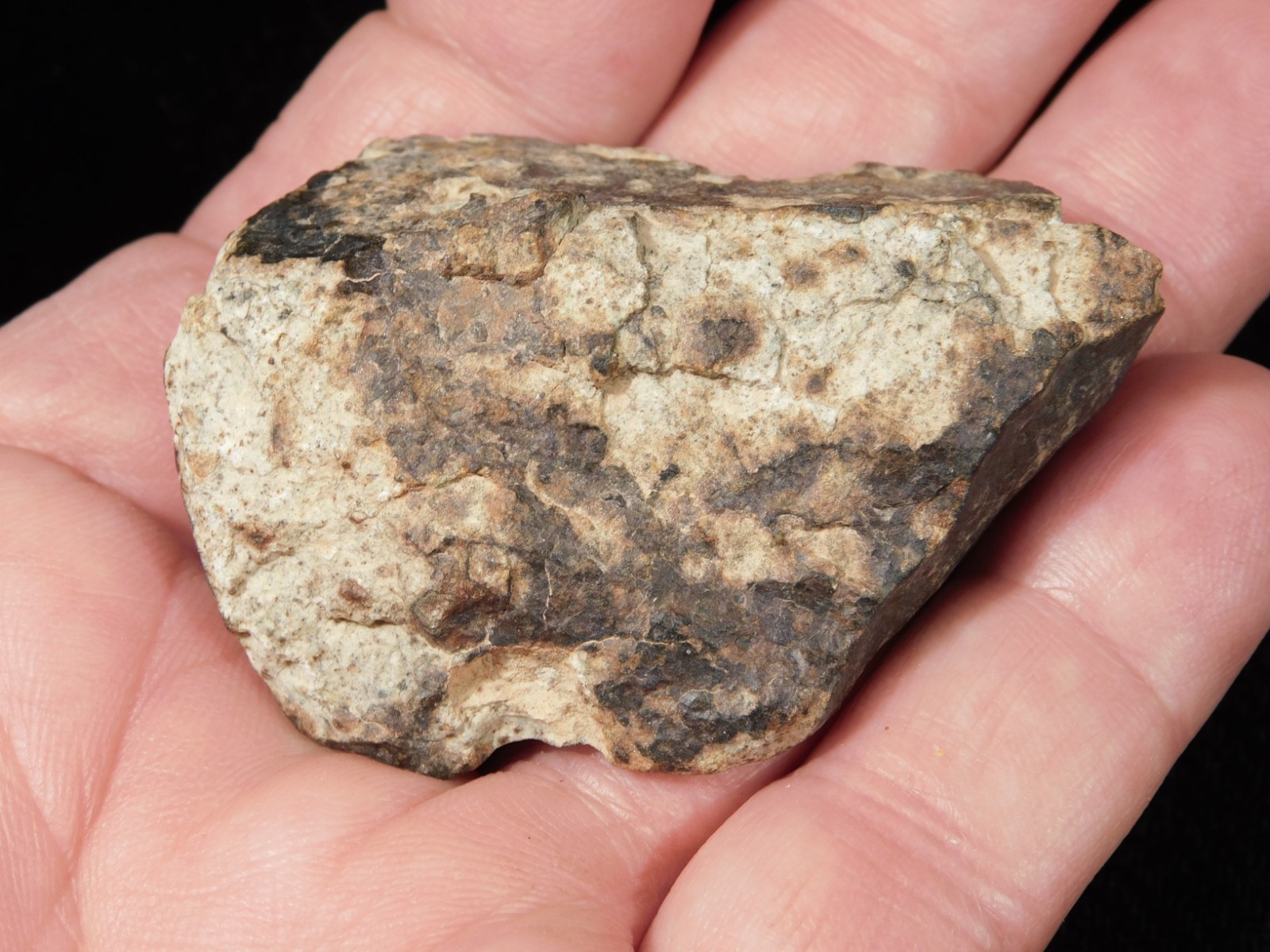 Stony METEORITE with DARK Fusion Crust and Contraction CRACKS 70.2gr