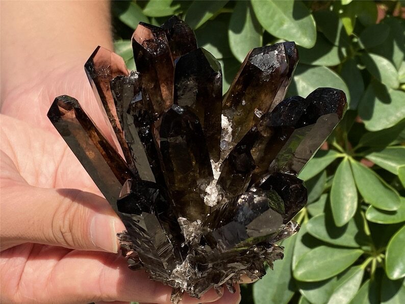 A+++ 300g+ Smokey Quartz Cluster Quartz Crystal Cluster Healing mineral gift 1pc