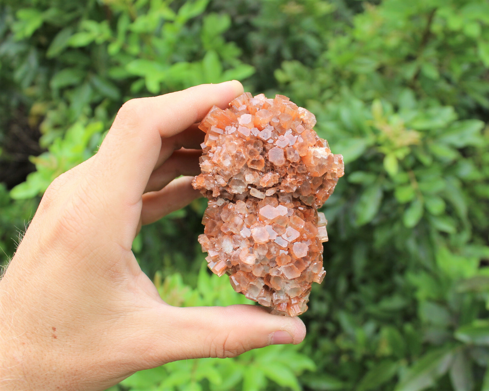Aragonite Clusters from Morocco ‘A’ Grade Aragonite Crystals: You Choose Size!