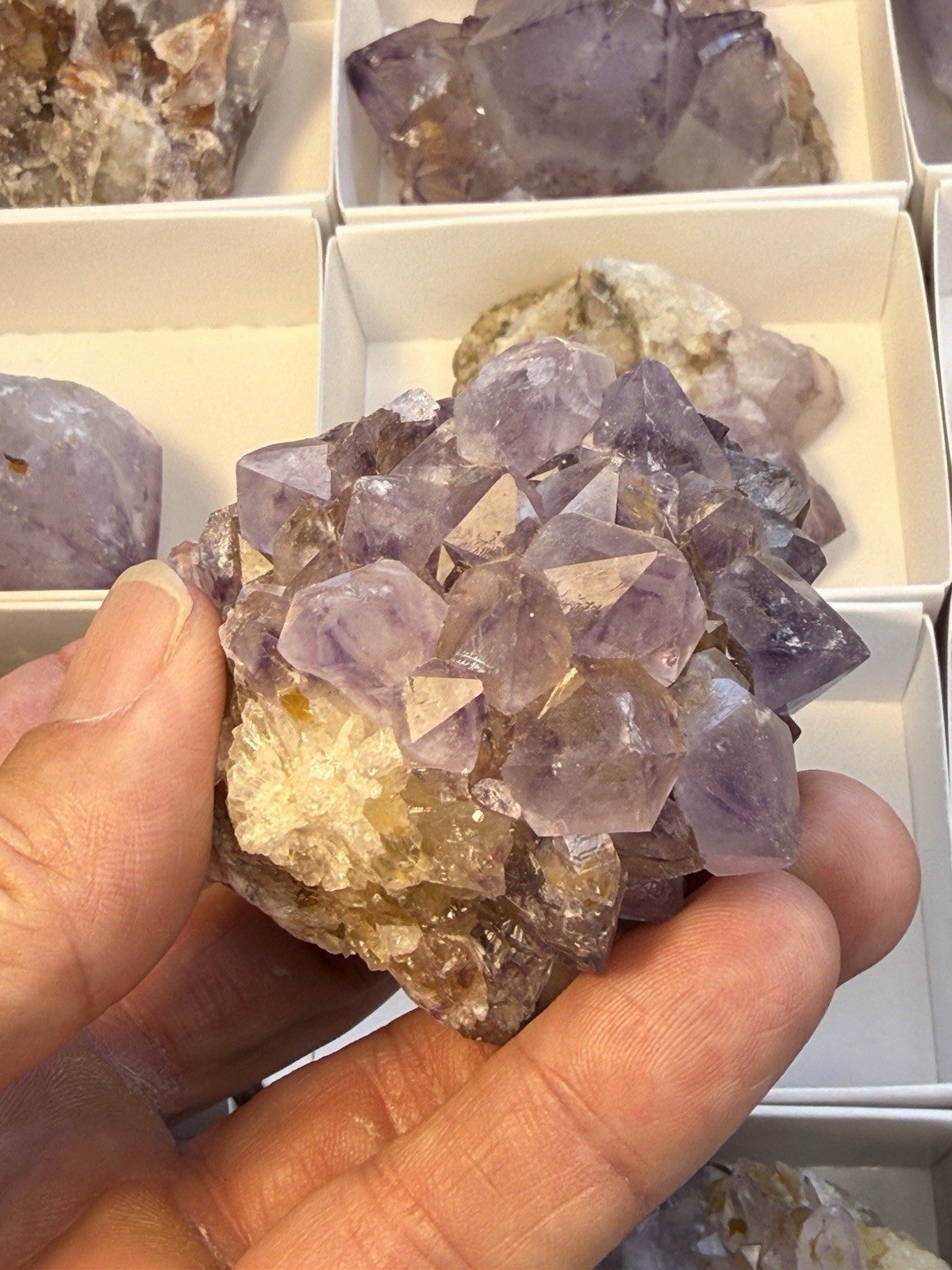 Amethyst Crystal Specimen! Orange River South Africa Excellent Color Quality