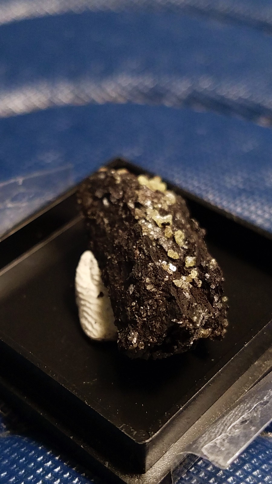 SiG: Tiny Light Pale Yellow Sulphur Crystals on Dark Matrix from Austria