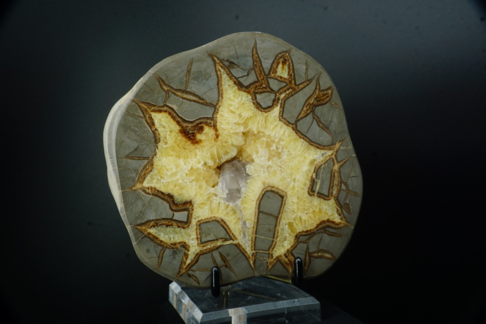 Septarian Nodule with Barite Crystal / Mount Carmel Junction, Utah / Large Polis