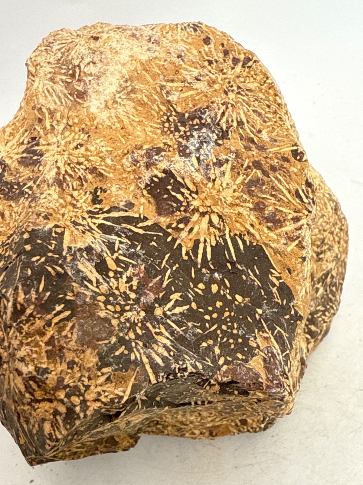 Beautiful Spider Jasper Chrysanthemum Specimen 491 Grams