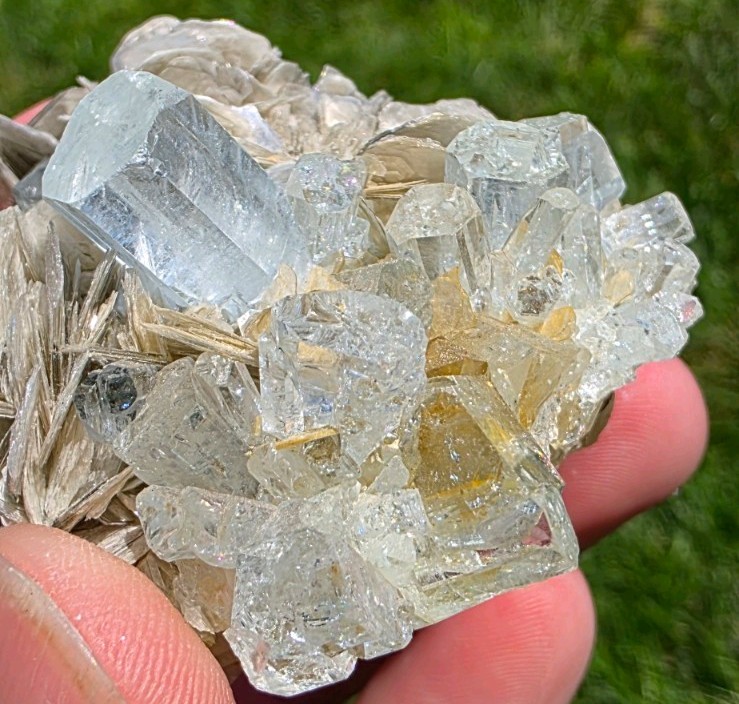 Aquamarine Flower on Muscovite