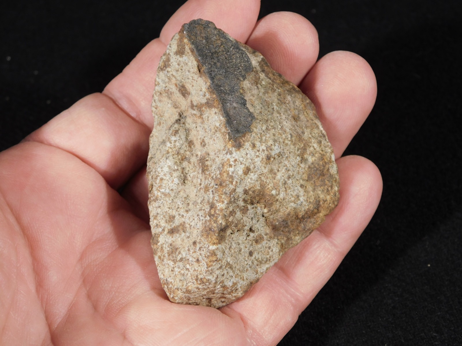 Classified NWA 8245 METEORITE 100% Natural Erfoud, Morocco 147gr