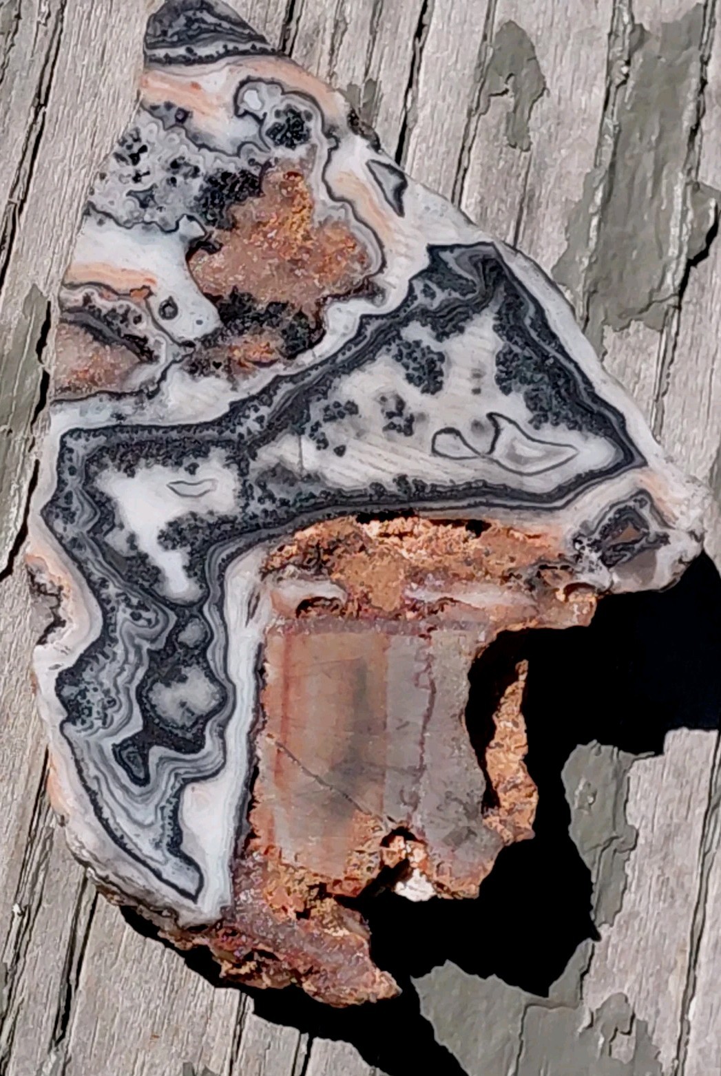 Zebra Calcite Lace Dendrite Bands Display Décor Reiki Cabs End Slab 3 1/2″×2 1/2