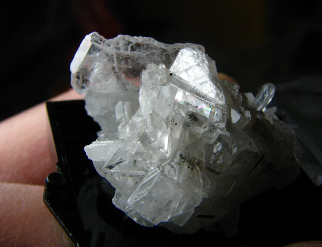 CLEAR/OPAQUE WHITE CELESTINE CRYSTALS MINIATURE IN CASE MICHIGAN USA #066