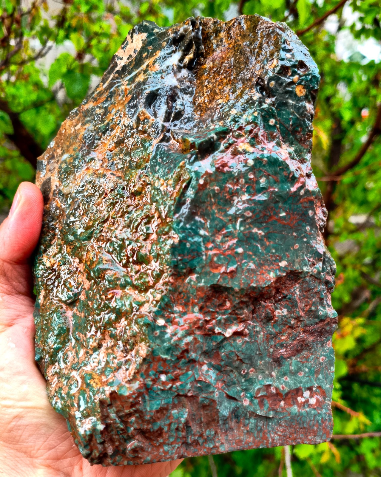 5 Lb 9.3 Oz Raw Heliotrope Jasper Bloodstone *Wet Shot*