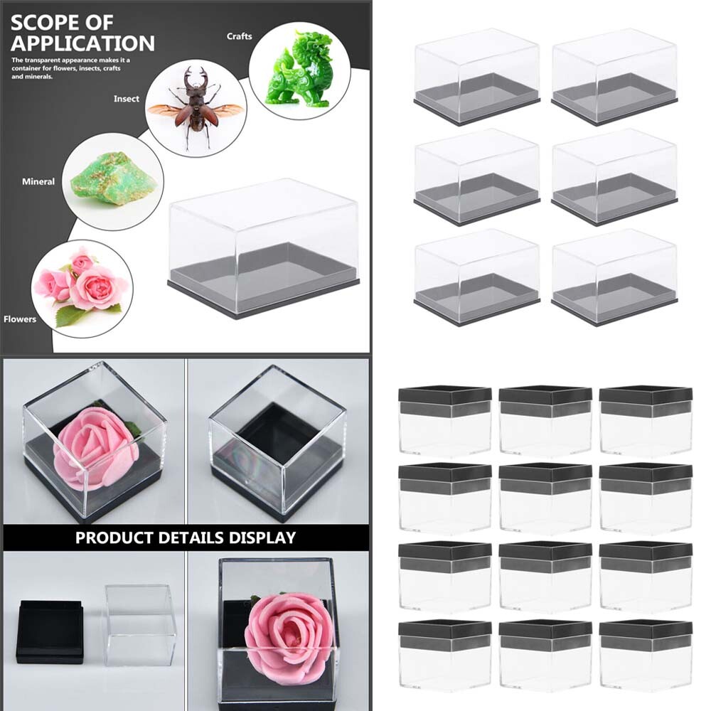Mineral Display Specimen Box Rectangle Square Display Case Jewelry Organizer USA