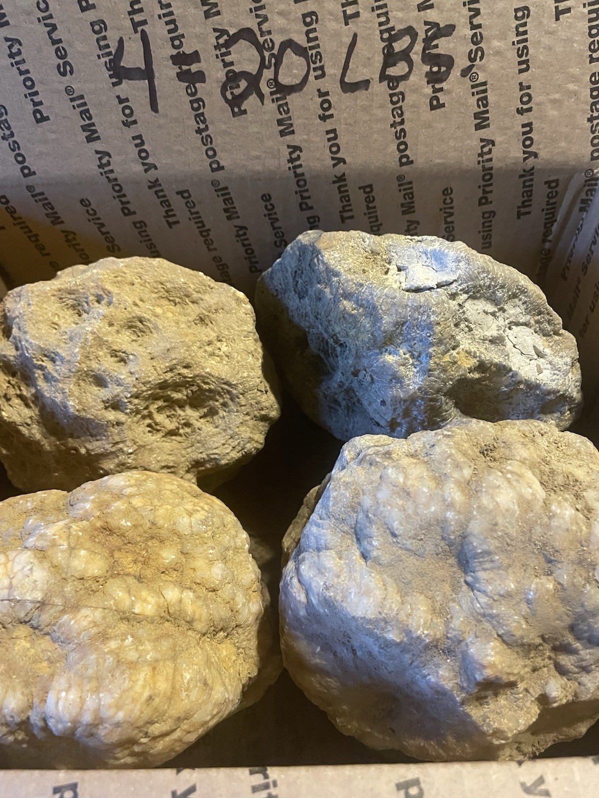 BOX OF KENTUCKY GEODES:4 BIG GEODES ALL RATTLE *4=20 LBS* ALL RATTLE