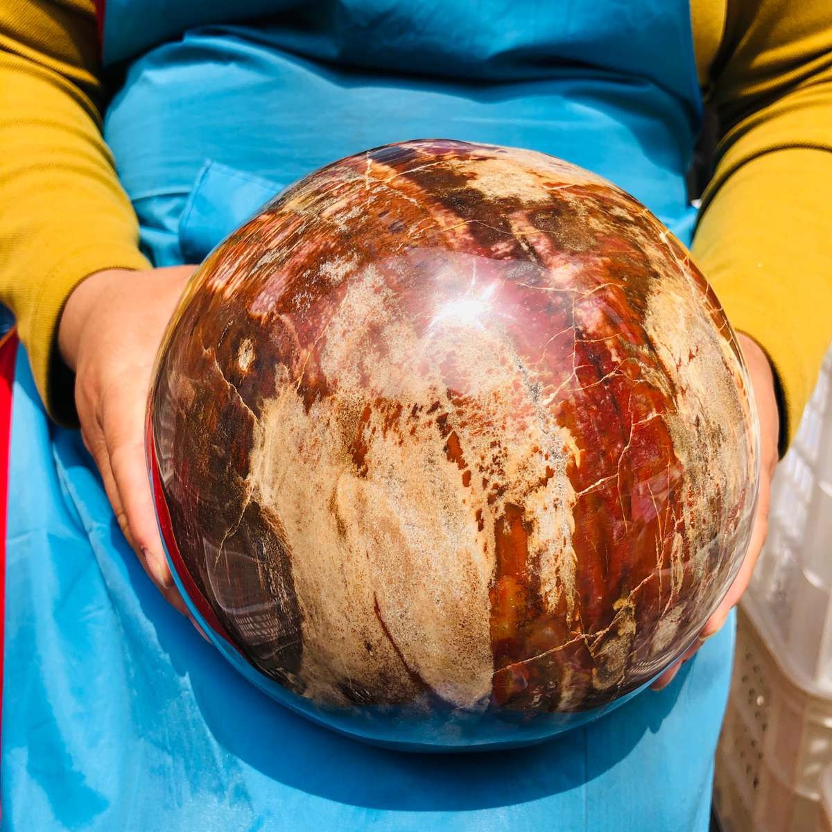16.1LB Rare Natural Petrified Wood Ball Crystal Quartz Mineral Healing 4708