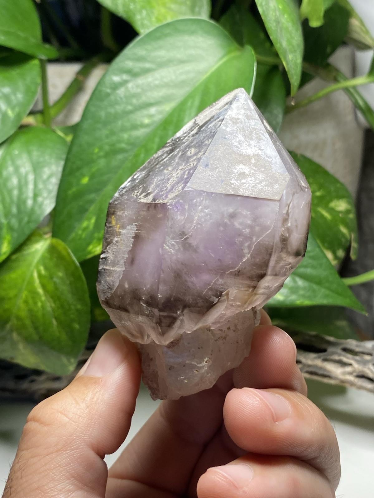 269 Gram Large Smoky Amethyst Scepter – Namibia, Africa